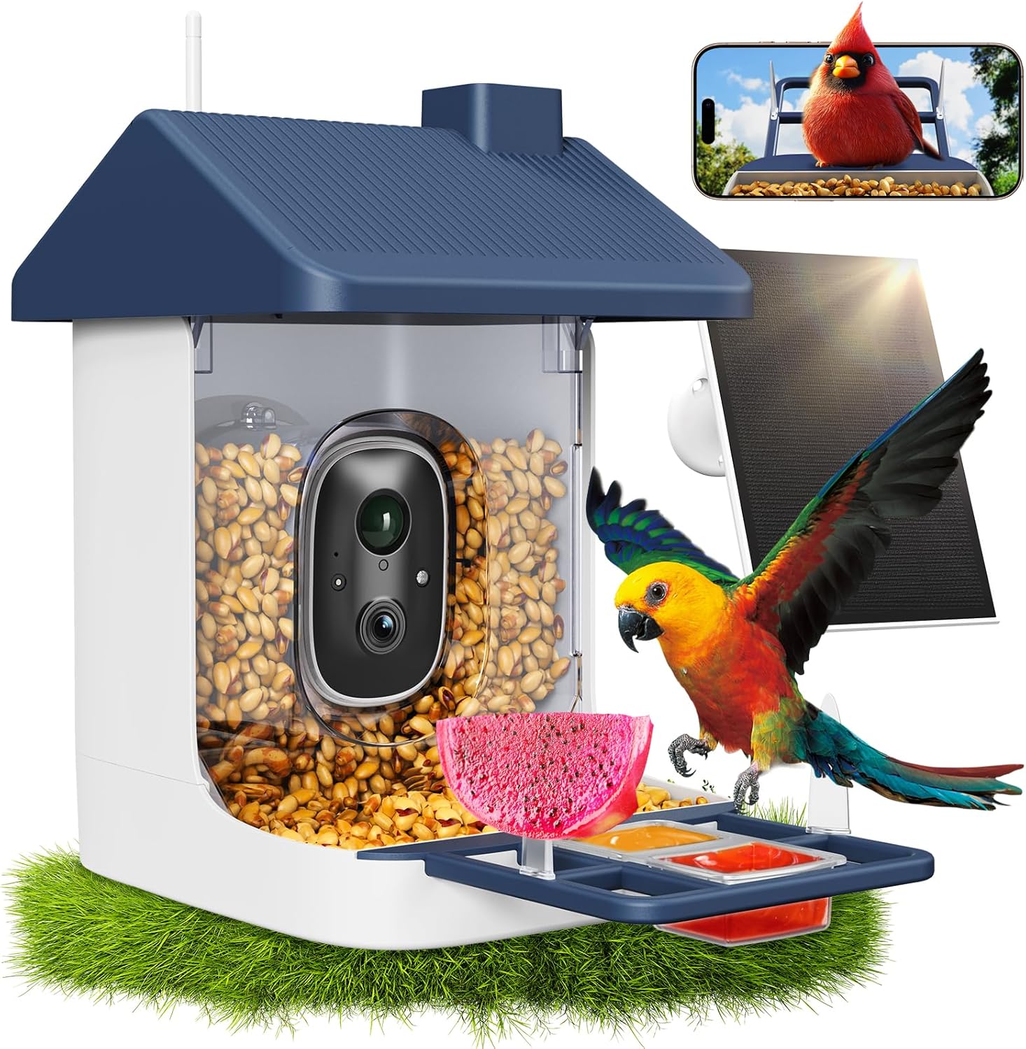 Watches & Jewelry Repair Center - Solar-Powered Smart Bird Feeder with 2K