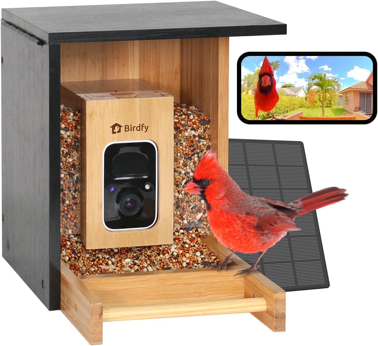 Watches & Jewelry Repair Center - Smart Bird Feeder with Camera, Solar