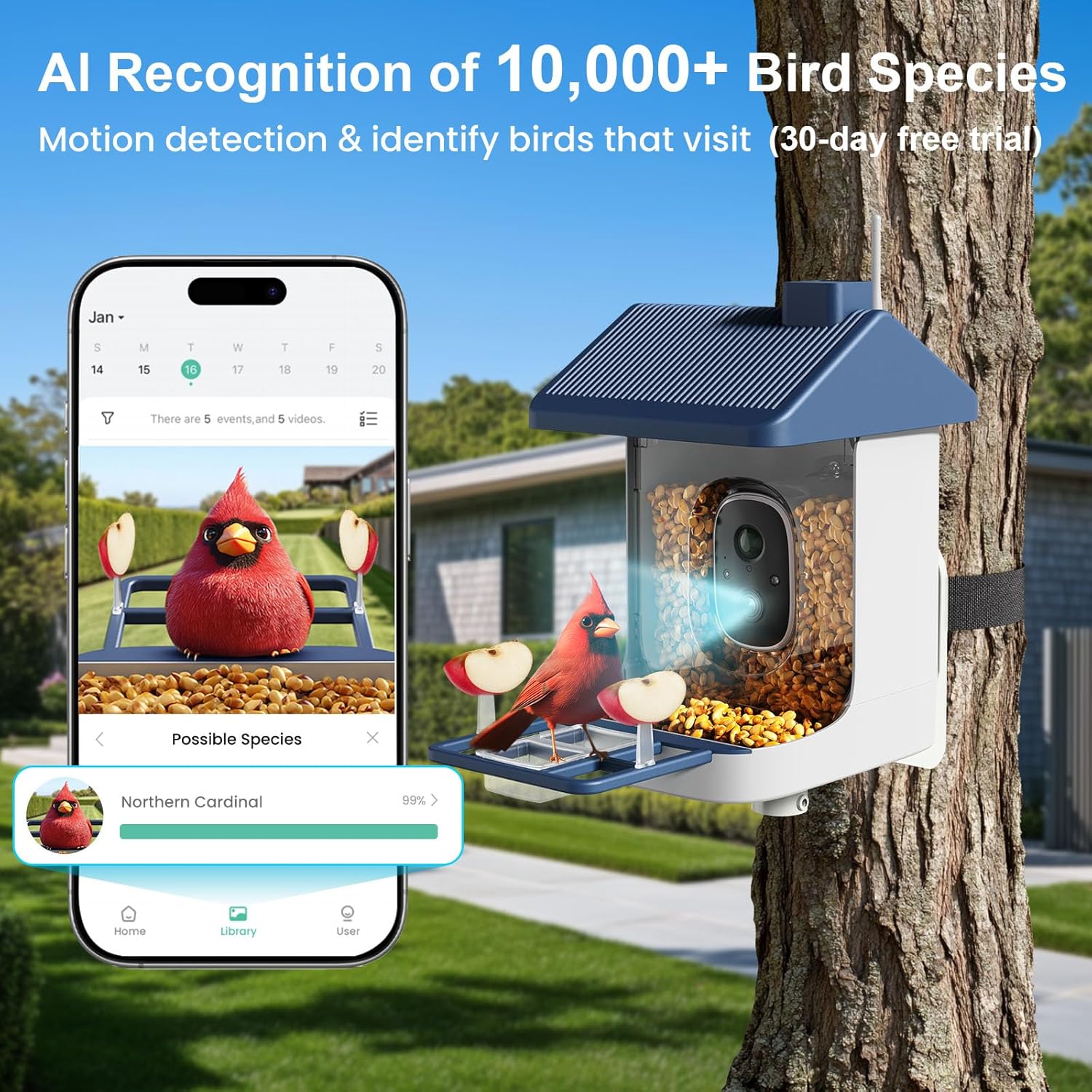 Solar-Powered Smart Bird Feede - огляд і ціна Watches & Jewelry Repair Center