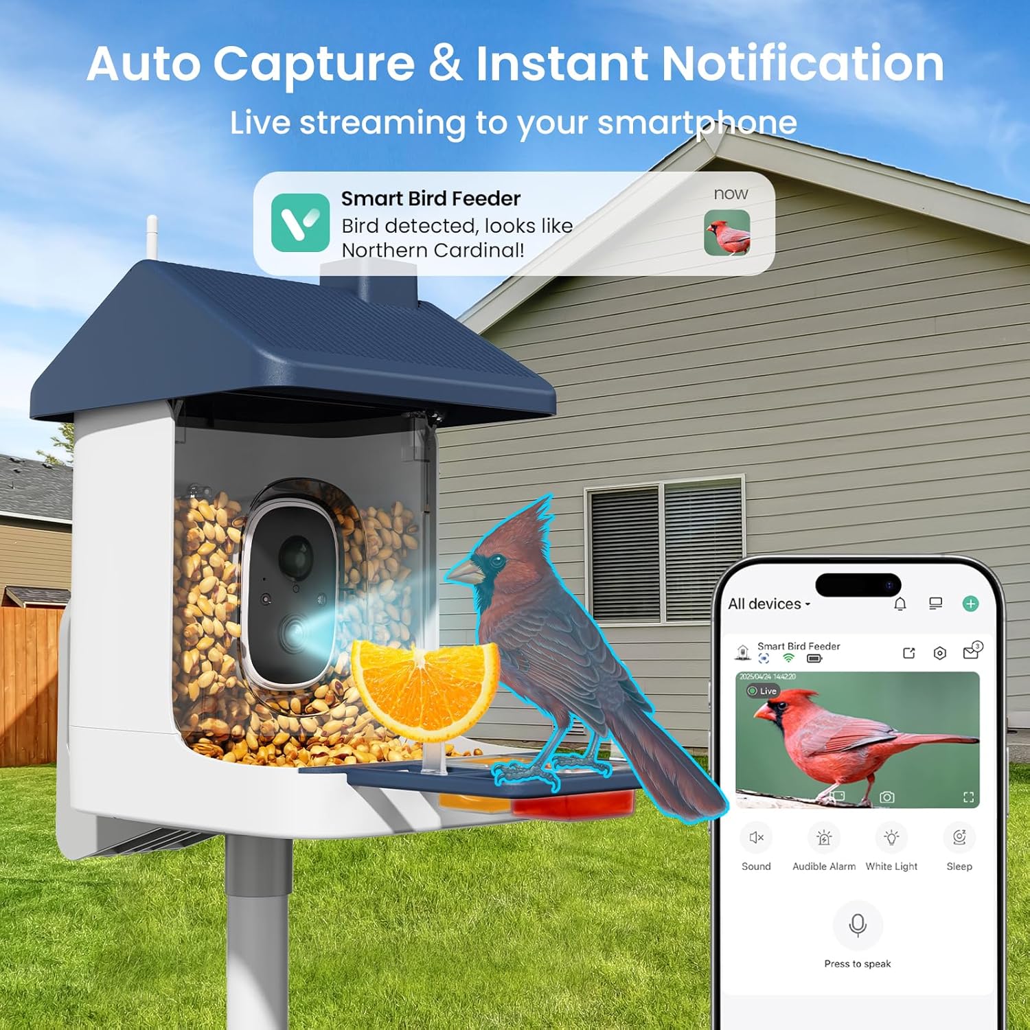 Solar-Powered Smart Bird Feede - огляд і ціна Watches & Jewelry Repair Center