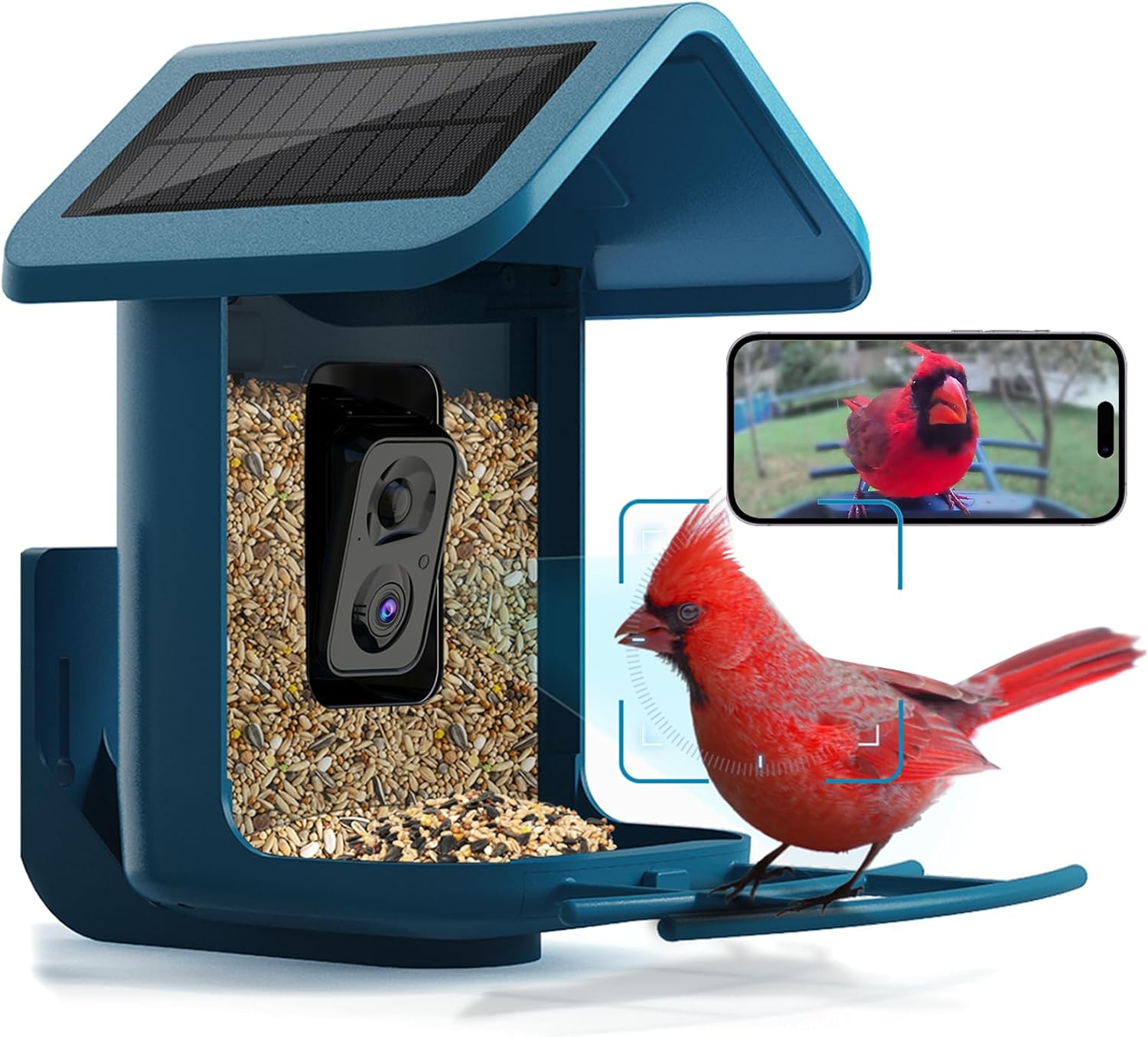Solar Bird Feeder with 2K Came - огляд і ціна Watches & Jewelry Repair Center
