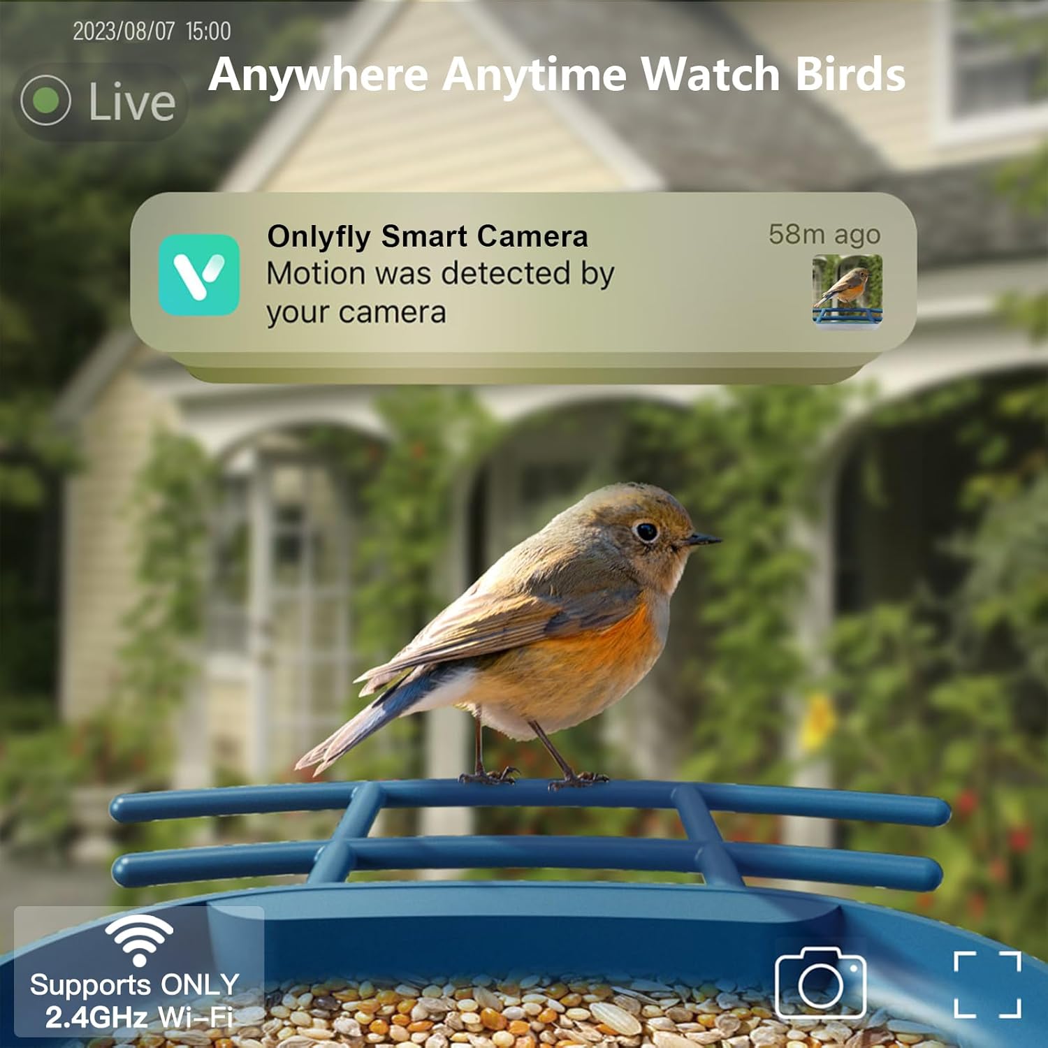 Solar Bird Feeder with 2K Came - огляд і ціна Watches & Jewelry Repair Center