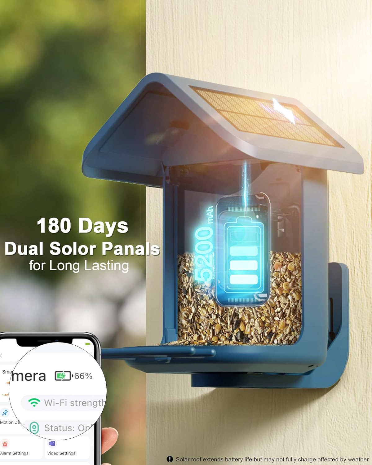 Solar Bird Feeder with 2K Came - огляд і ціна Watches & Jewelry Repair Center