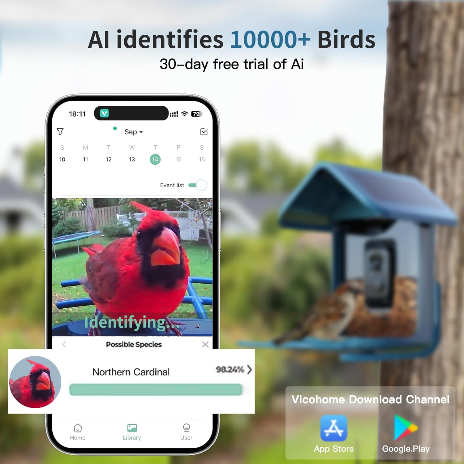 Solar Bird Feeder with 2K Came - огляд і ціна Watches & Jewelry Repair Center