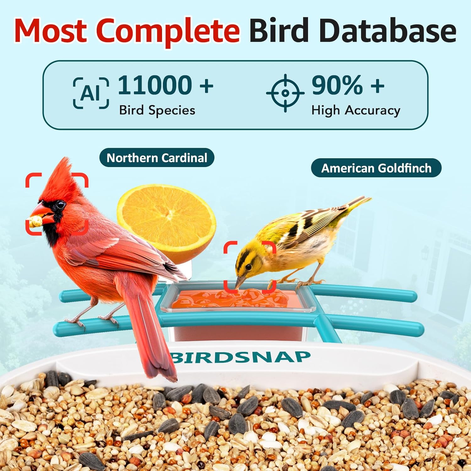 2K HD Bird Feeder Camera with  - огляд і ціна Watches & Jewelry Repair Center
