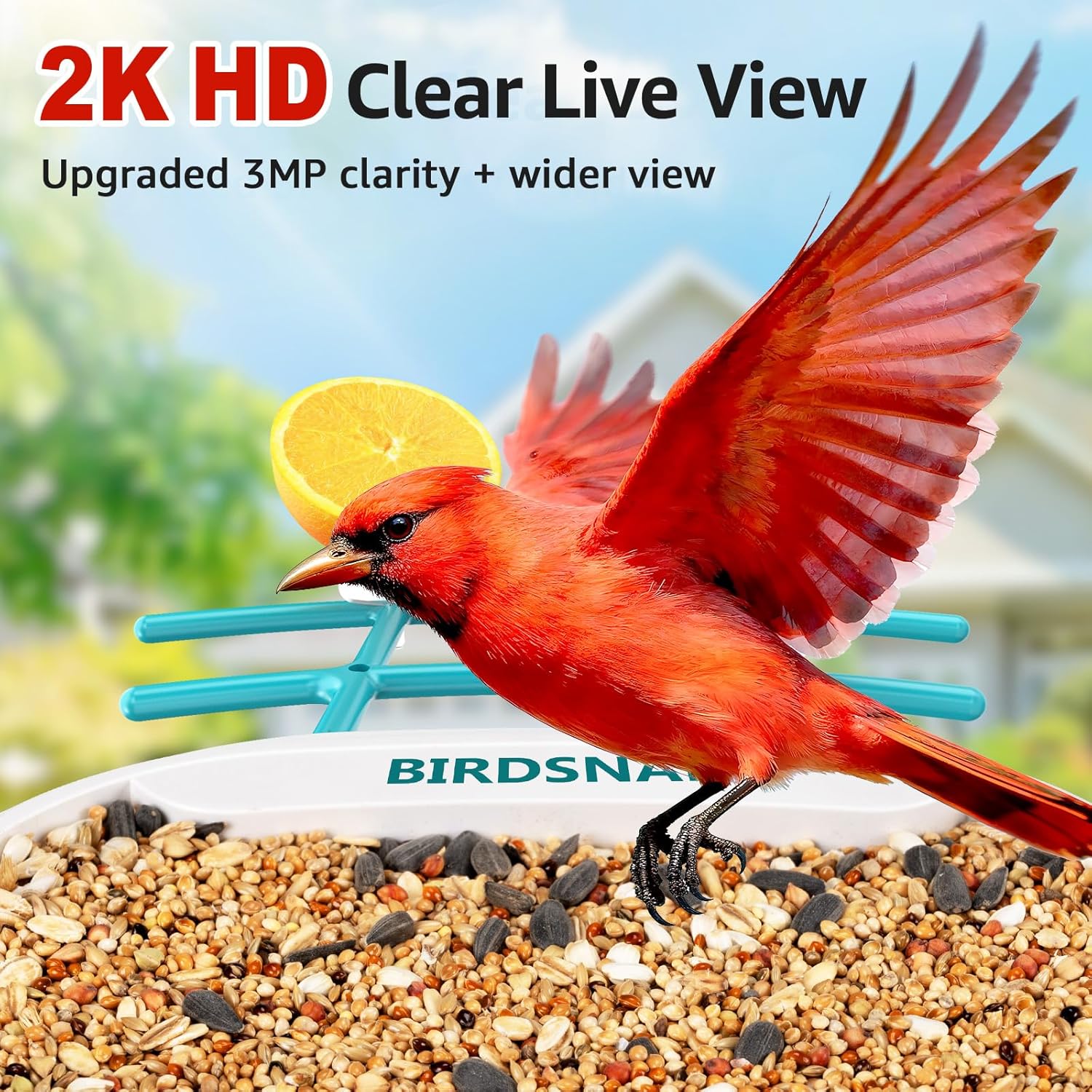 2K HD Bird Feeder Camera with  - огляд і ціна Watches & Jewelry Repair Center
